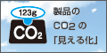 120*60px