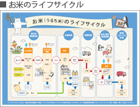 お米のライフサイクル