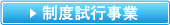 制度試行事業