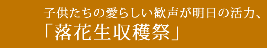 落花生収穫祭