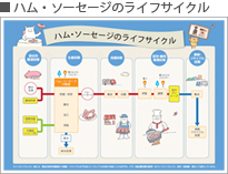 ハム・ソーセージのライフサイクル